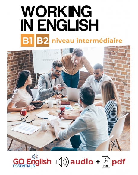 Working in English - Téléchargement