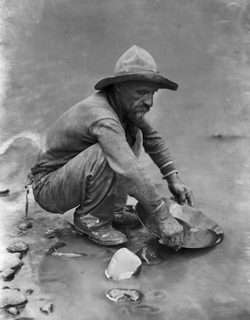 GOENGLISH_BLOGNOV25_GOLDFEVER_Vertical.p